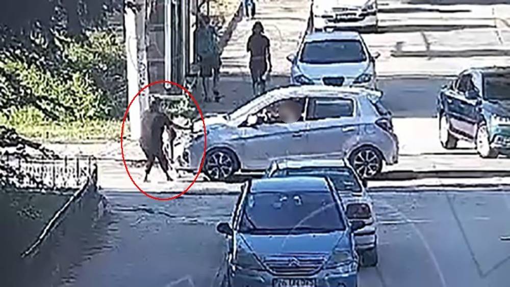 Minik Mavi&rsquo;nin hayatını kaybettiği kazanın g&ouml;r&uuml;nt&uuml;leri ortaya &ccedil;ıktı
