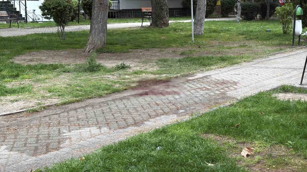 Alkol aldıkları sırada &ccedil;ıkan tartışmada arkadaşını bı&ccedil;akla ağır yaralayan ş&uuml;pheli yakalandı
