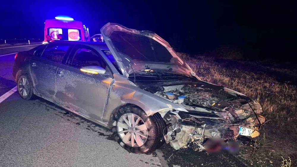 Kastamonu&rsquo;da otomobil domuz s&uuml;r&uuml;s&uuml;ne &ccedil;arptı: 2 yaralı

