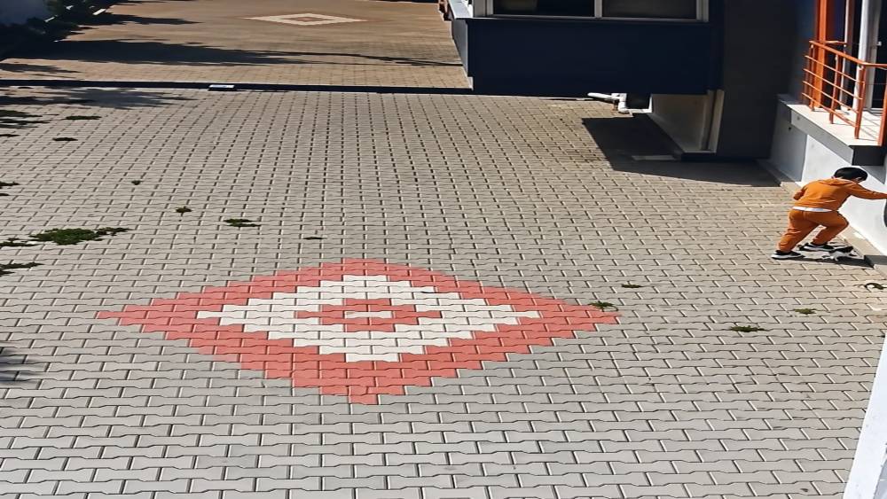 Bandırma&rsquo;da kediye işkence iddiası tepki &ccedil;ekti
