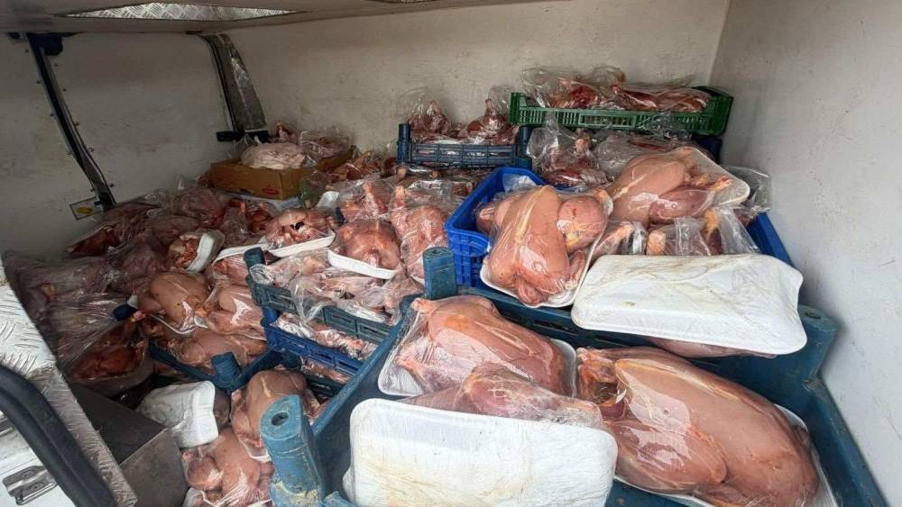 Van&rsquo;da sağlık ve sevk belgeleri bulunmayan 200 tavuk ele ge&ccedil;irildi
