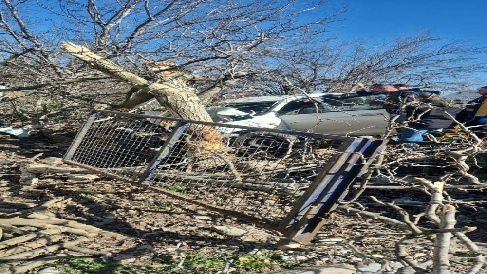 Kontrolden &ccedil;ıkan otomobil ağa&ccedil;lara ok gibi saplandı: 2 &ouml;l&uuml;, 1 ağır yaralı

