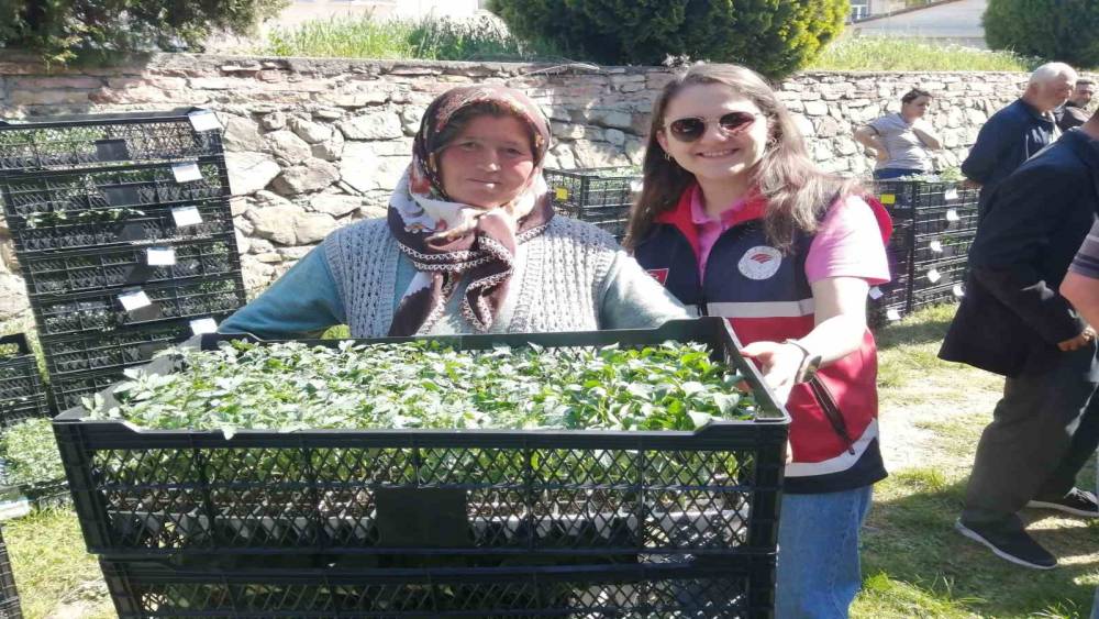 Han&ouml;n&uuml;&rsquo;de &ccedil;ift&ccedil;ilere 30 bin fide dağıtıldı
