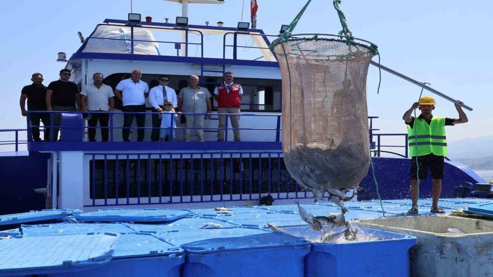 Arsuz&rsquo;da &uuml;retilen balıklar Avrupa&rsquo;ya ihra&ccedil; ediliyor
