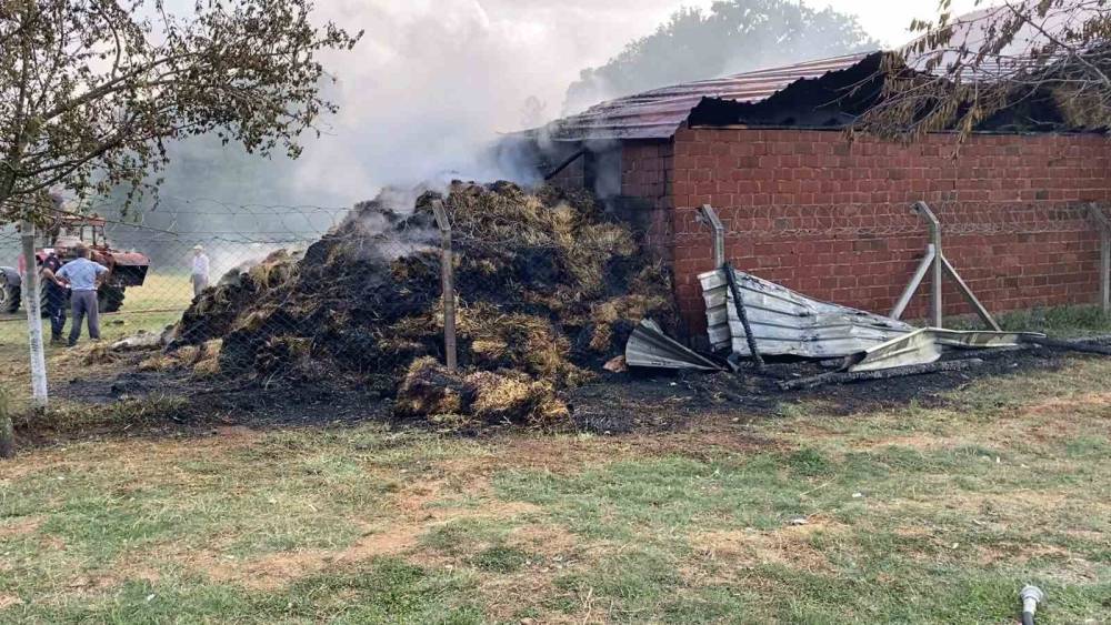 Bursa&rsquo;da samanlık alevlere teslim oldu
