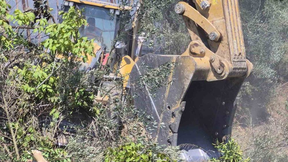 Manavgat&rsquo;ta zeytinlik yangında 100 ağa&ccedil; zarar g&ouml;rd&uuml;
