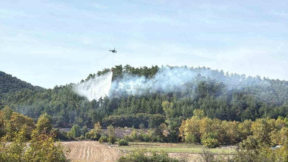 Tarım arazisinde başlayarak ormana sı&ccedil;rayan yangın kontrol altına alındı
