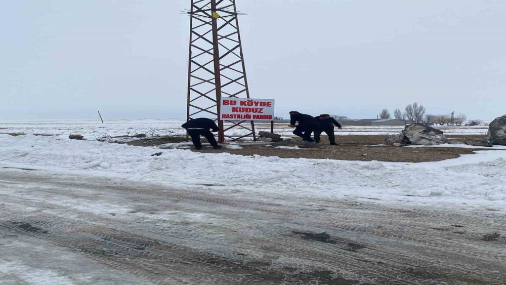 Adilcevaz&rsquo;da kuduz alarmı: Bir k&ouml;y karantinaya alındı

