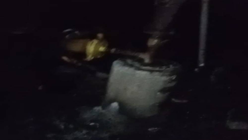 Adana&rsquo;da 40 g&uuml;vercin yangında telef oldu
