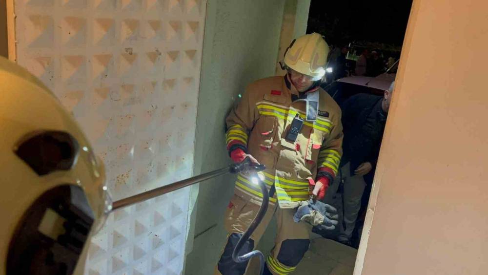 Camide g&ouml;r&uuml;len yılan yakalandı
