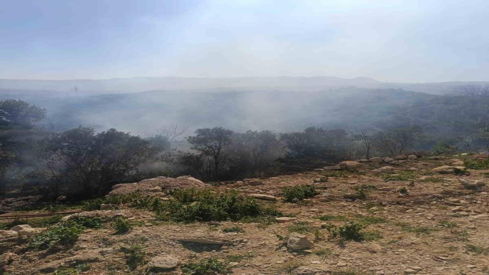 Samandağ&rsquo;da ormanlık alanda &ccedil;ıkan yangın kısa s&uuml;rede kontrol altına alındı
