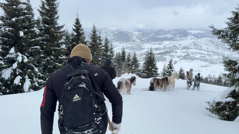 2 bin 100 rakımlı kışlada aylarca kar altında mahsur kalan atları k&ouml;y&uuml;n gen&ccedil;leri kurtardı
