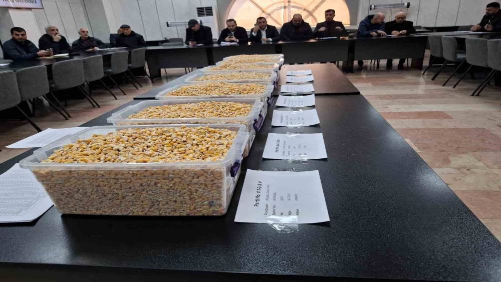 TİGEM&rsquo;in 13,5 bin tonluk mısır satışı GTB&rsquo;de ger&ccedil;ekleşti
