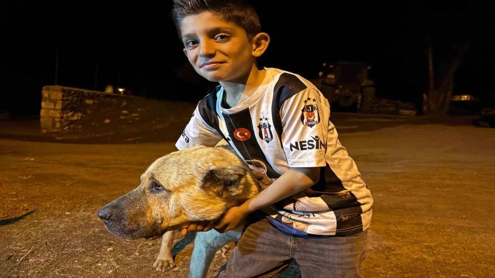 K&ouml;yde iki ayının saldırısına uğrayan Sencar&rsquo;ın imdadına &ccedil;oban k&ouml;peği Kral yetişti

