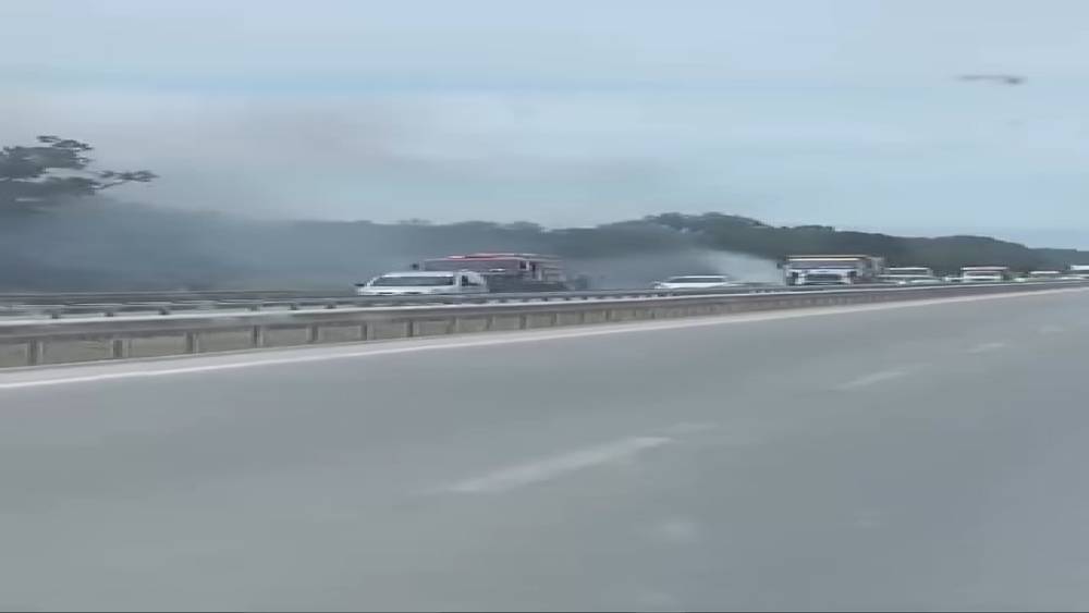 İzmir-Bursa kara yolunda alevler korkuttu
