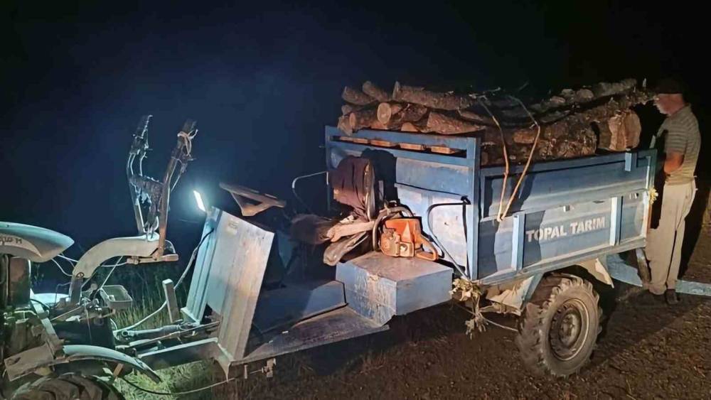 Antakya&rsquo;da ormanda usuls&uuml;z kesim yapan şahıslar yakalandı
