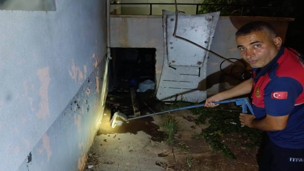 Evin deposuna giren yılan ekipleri harekete ge&ccedil;irdi
