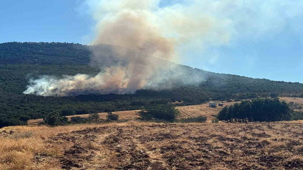 Mihalı&ccedil;&ccedil;ık&rsquo;ta orman yangınına m&uuml;dahale s&uuml;r&uuml;yor
