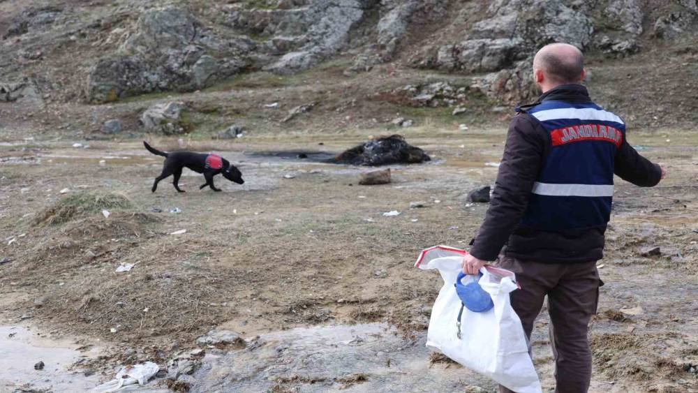 Jandarmanın iz takip k&ouml;peği "Salkım" kayıp şahıs i&ccedil;in sahada
