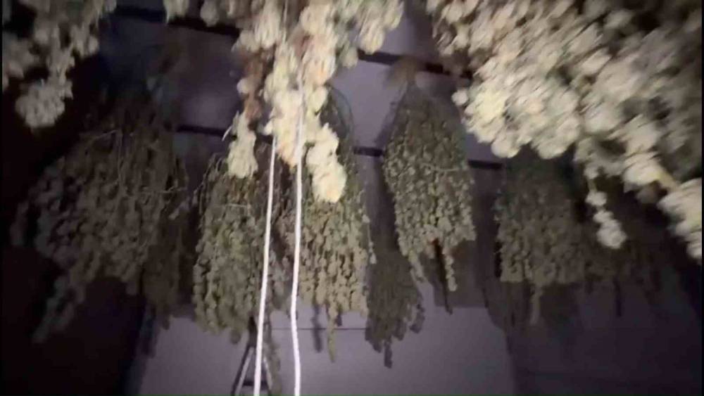 Kırklareli&rsquo;nde 54 kilogram esrar ele ge&ccedil;irildi: 1 tutuklama
