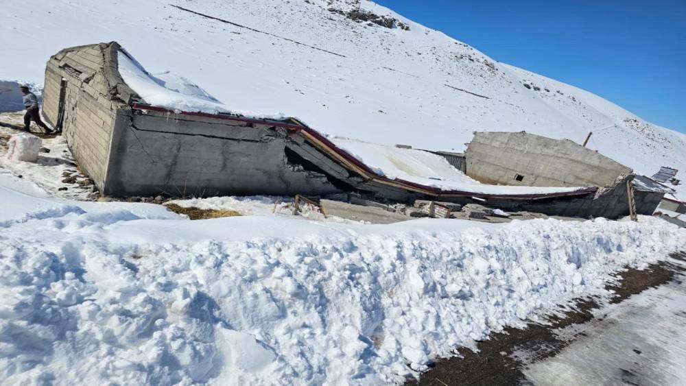 Iğdır&rsquo;da ahır &ccedil;&ouml;kt&uuml;: Hayvanların &ouml;nceden &ccedil;ıkarılması facianın &ouml;n&uuml;ne ge&ccedil;ti
