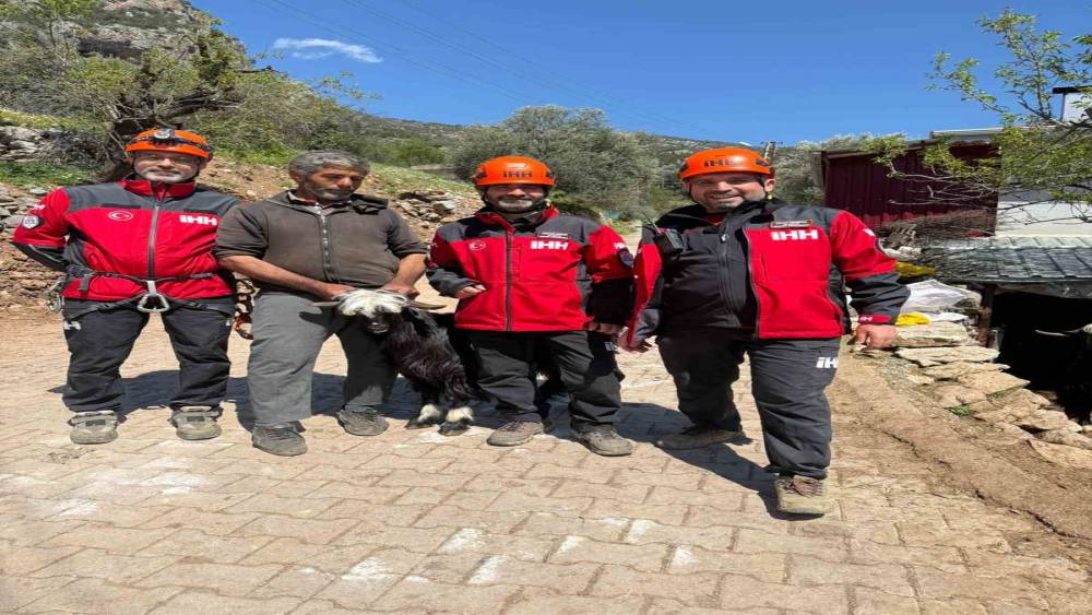 Mahsur kalan 2 ke&ccedil;i, 100 metrelik sarp araziden kurtarıldı
