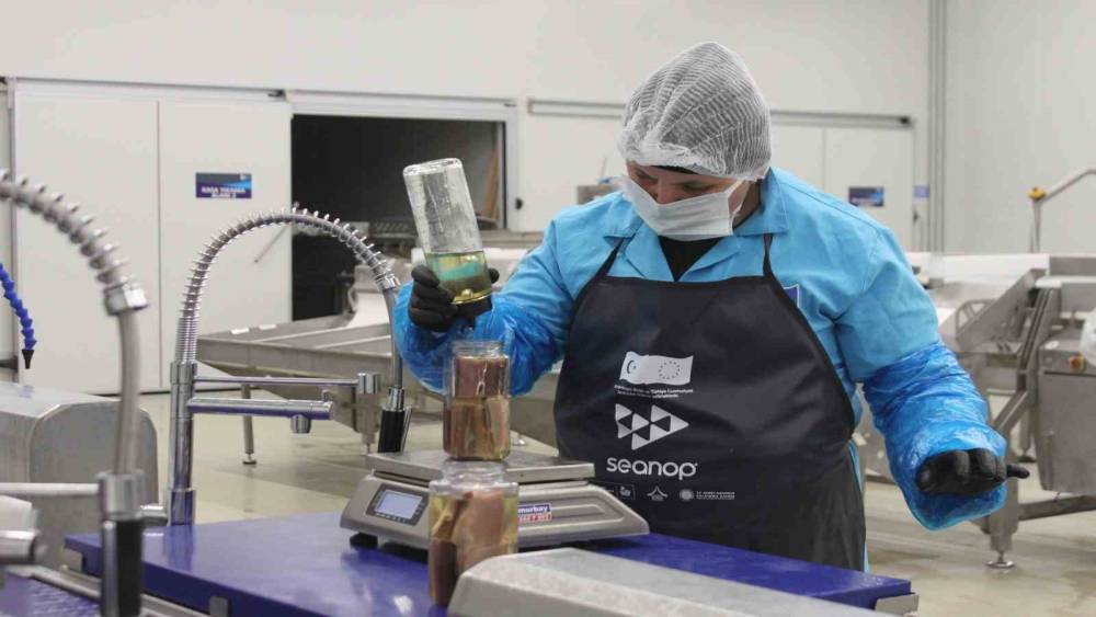 Sinop lakerdası kalkınmanın yeni markası olmaya hazırlanıyor
