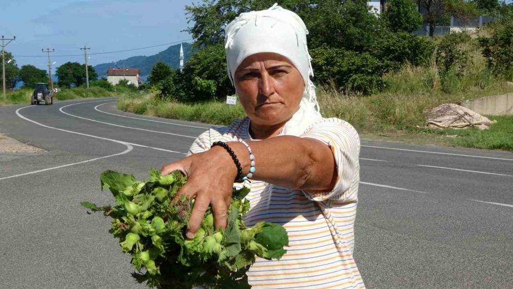 Ordu&rsquo;da taze fındık tezgahlarda: Kilosu 200 lira
