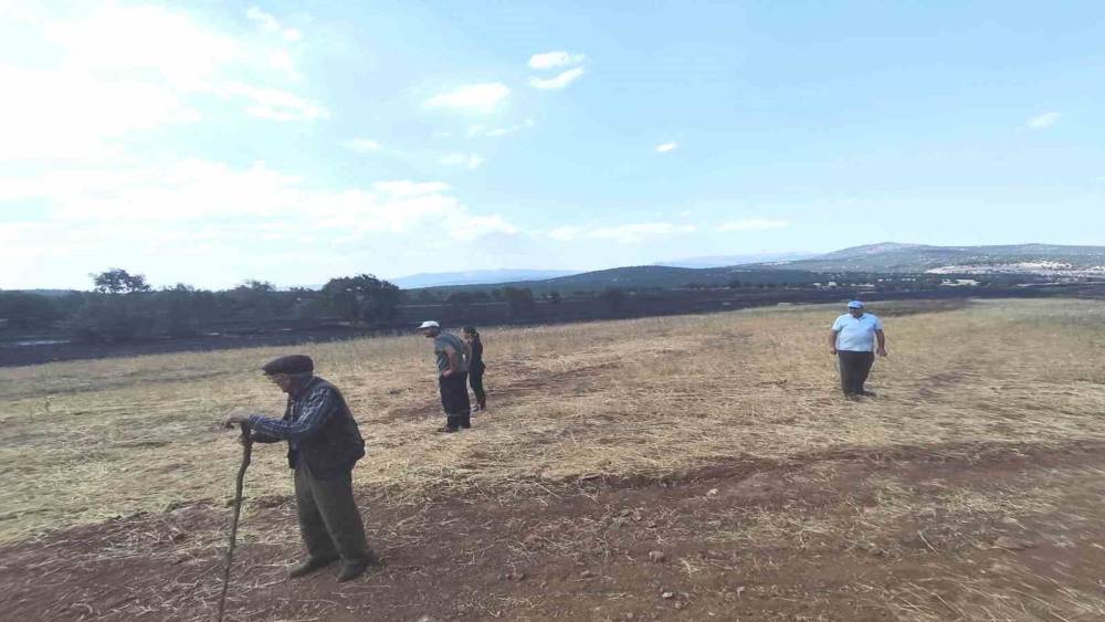 K&uuml;tahya&rsquo;da yangının ardından tarım arazilerinde hasar tespiti
