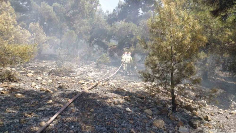 Denizli&rsquo;de orman yangını hızlı m&uuml;dahaleyle kontrol altına alındı
