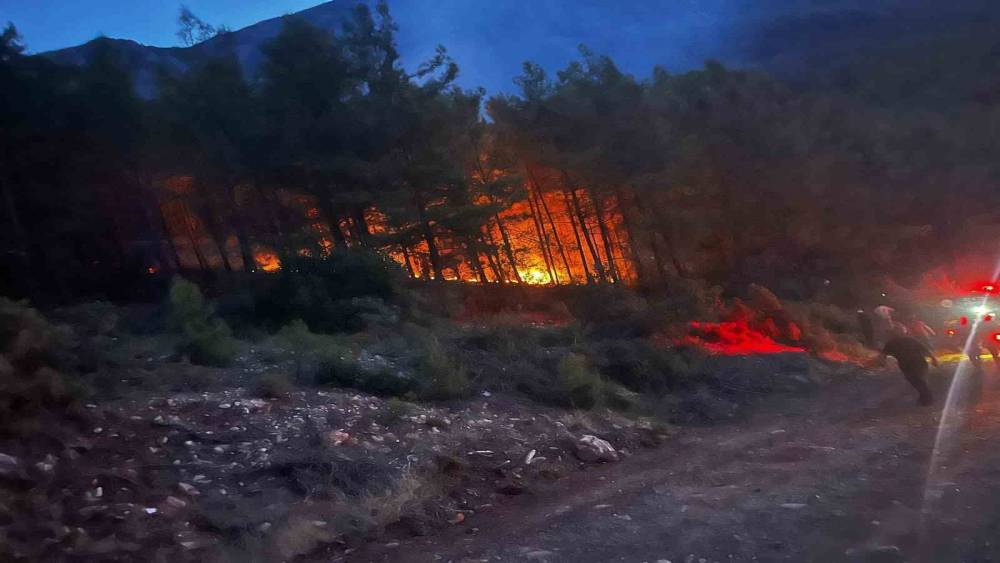 Alanya&rsquo;da ormanlık alanda &ccedil;ıkan yangın kontrol altına alındı
