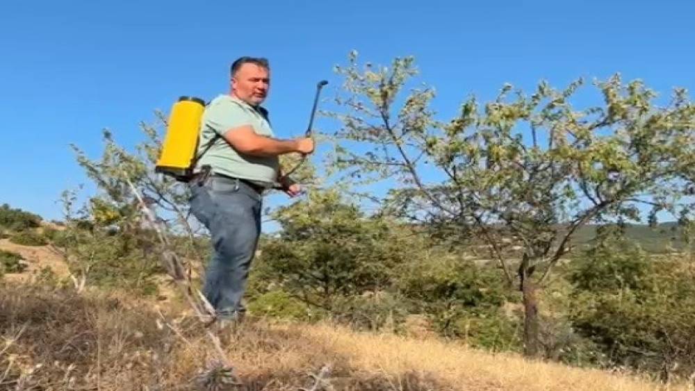 Tarla boş kalmasın diye diktiği badem ağa&ccedil;larından ilk kez verim aldı
