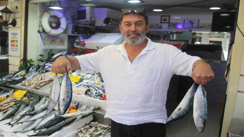 Palamut bolluğu tezgahlara yansıdı: 600 gram balık 100 lira
