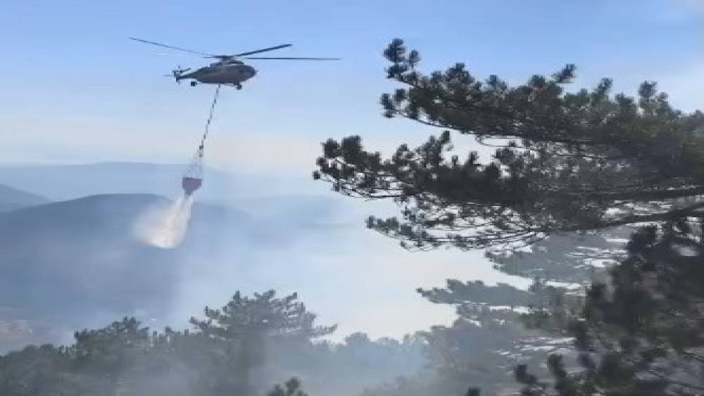 Fethiye&rsquo;de orman yangını

