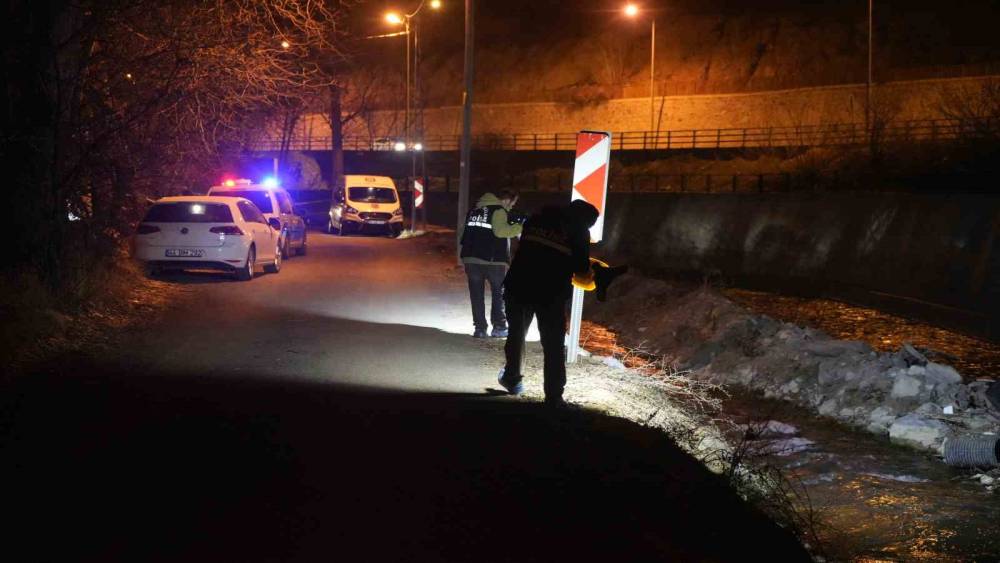 Alzheimer hastası yaşlı adam Harşit &Ccedil;ayı&rsquo;nda &ouml;l&uuml; bulundu
