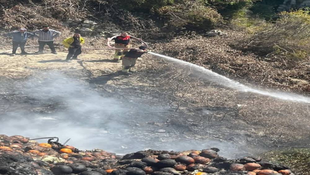 Samandağ&rsquo;da bah&ccedil;ede &ccedil;ıkan yangın b&uuml;y&uuml;meden s&ouml;nd&uuml;r&uuml;ld&uuml;
