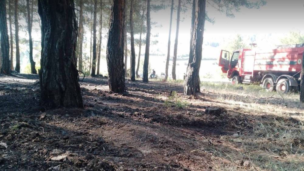 Tavşanlı&rsquo;da erken m&uuml;dahale ormanı kurtardı
