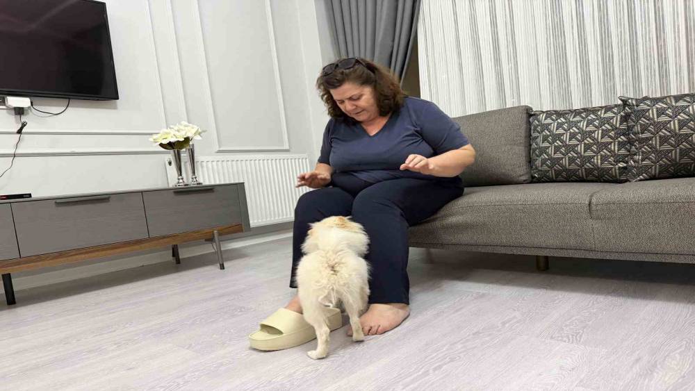 Aydın&rsquo;dan alınan k&ouml;pek Mardinli ailenin kabusu oldu

