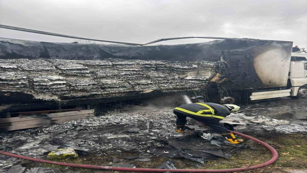 Hamsi y&uuml;kl&uuml; tır alevlere teslim oldu: Dorse kullanılamaz hale geldi
