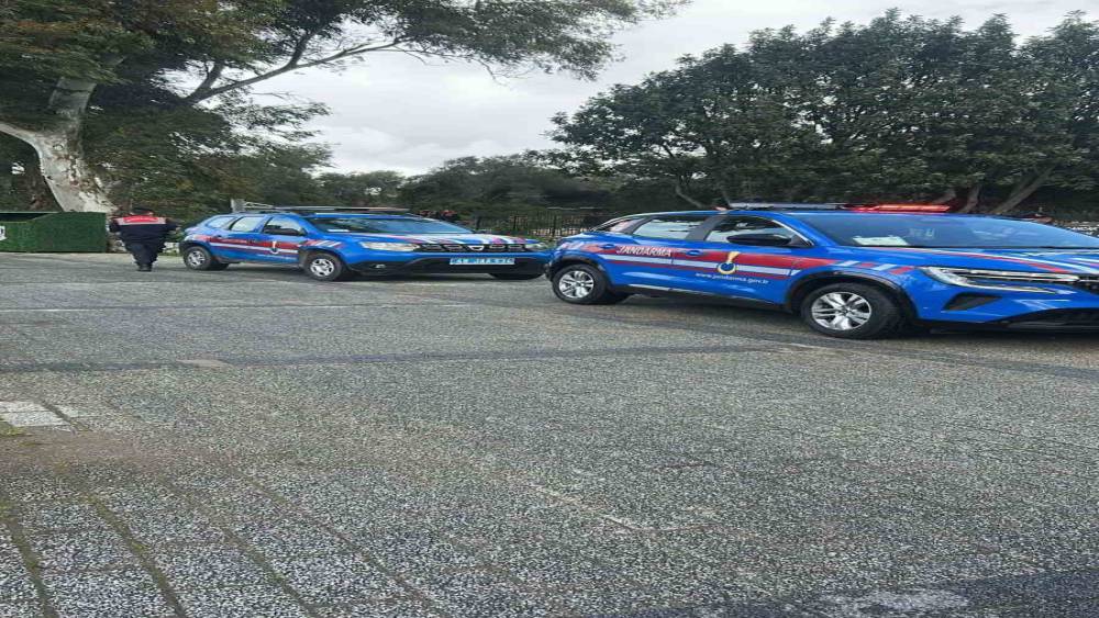 Bodrum&rsquo;da iki k&ouml;peğin silahla vurulduğu iddiası
