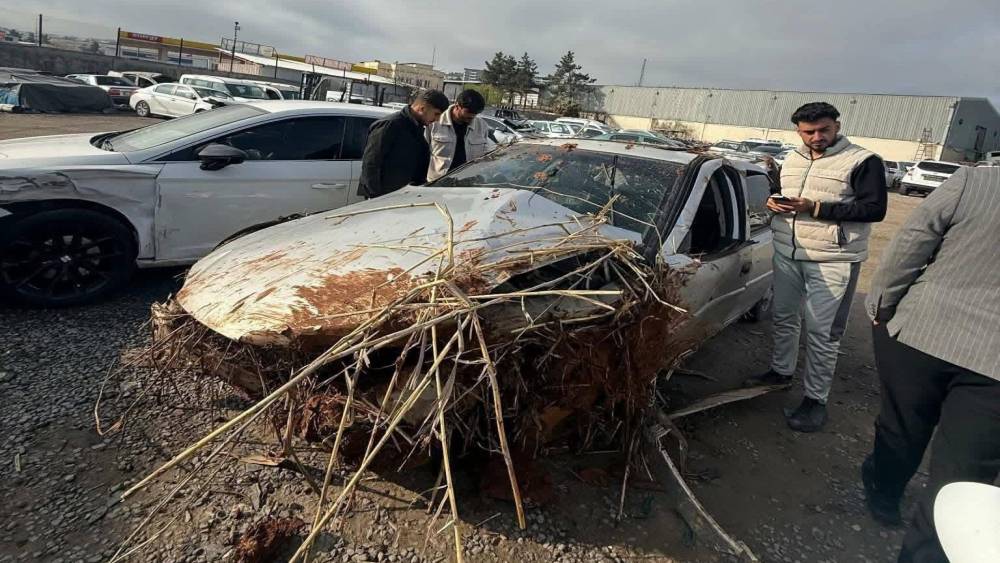 Kontrolden &ccedil;ıkarak devrilen otomobilin s&uuml;r&uuml;c&uuml;s&uuml; &ouml;ld&uuml;
