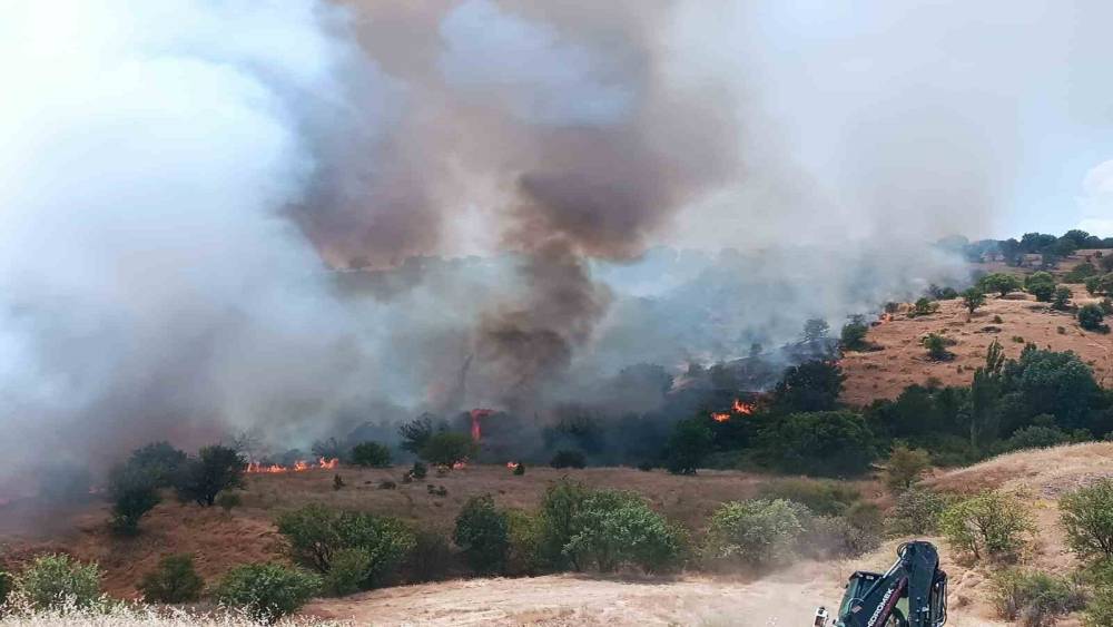 P&uuml;t&uuml;rge&rsquo;de orman ve &ouml;rt&uuml; yangını kontrol altına alındı
