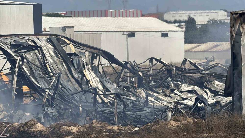 Kocaeli&rsquo;de kimya fabrikasında yangın: 2 iş&ccedil;i yaralandı, 2 at telef oldu
