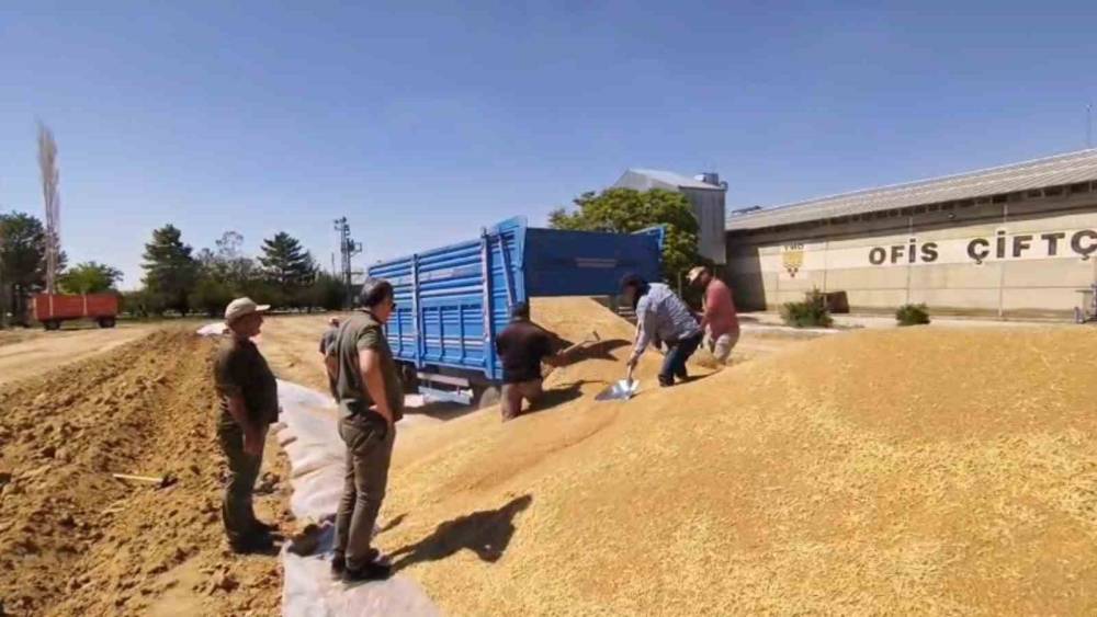Konya&rsquo;da TMO&rsquo;dan 2 milyon tona yakın hububat alımı
