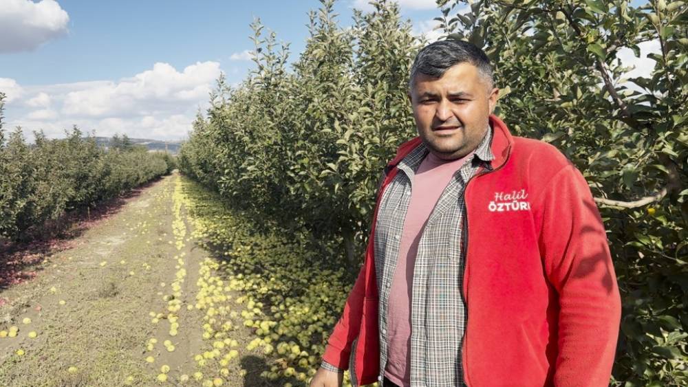 Elmalı&rsquo;da elmalar 5 TL&rsquo;den meyve suyuna gidiyor
