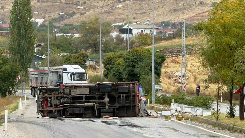 Malatya&rsquo;da arı y&uuml;kl&uuml; kamyon devrildi: 2 yaralı
