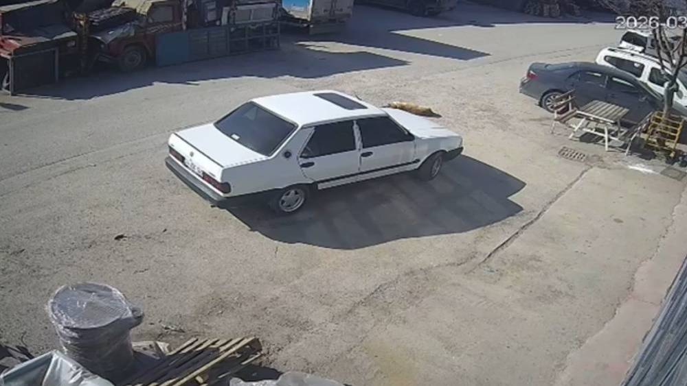 Bolu&rsquo;da k&ouml;peğin &uuml;zerinden ge&ccedil;en s&uuml;r&uuml;c&uuml; g&ouml;zaltına alındı
