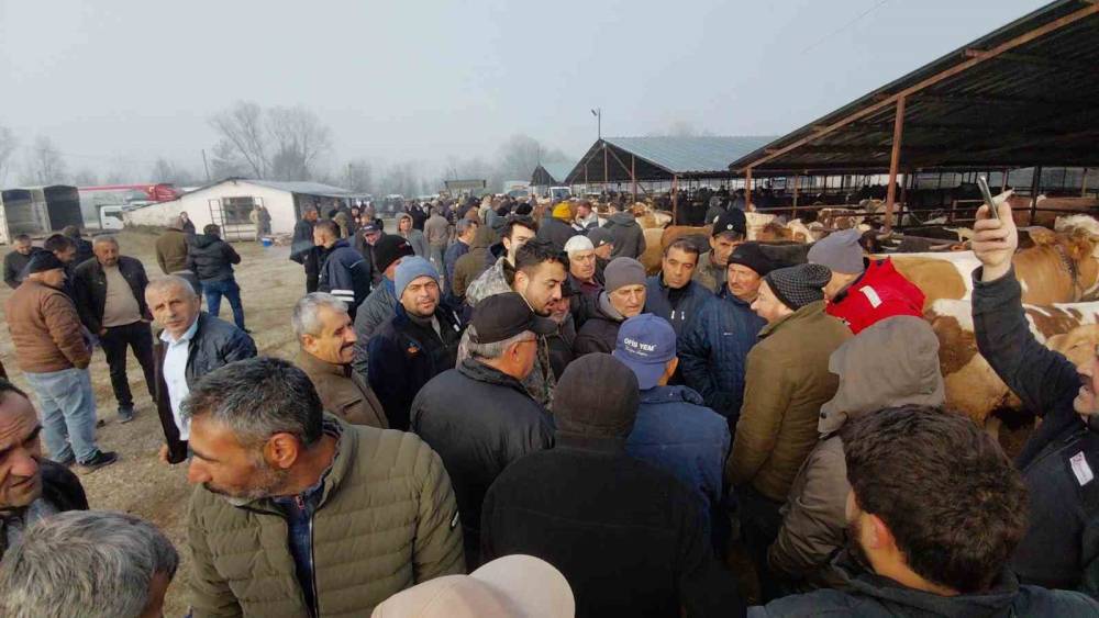 Hayvan pazarında hararetli pazarlık kamerada
