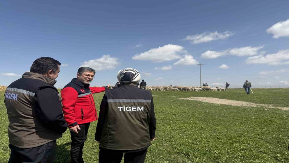 Bakan Yumaklı: (Kırsalda Bereket K&uuml;&ccedil;&uuml;kbaşa Destek Projesi) "En iyi ırkın oluşturulması i&ccedil;in &ccedil;alışılmış s&uuml;r&uuml;lerden verilecek"
