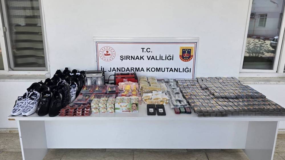 Şırnak&rsquo;ta jandarmadan asayiş, ka&ccedil;ak&ccedil;ılık ve narkotik operasyonu
